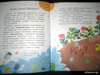 Анастасия Мещерякова: Почему мы болеем?