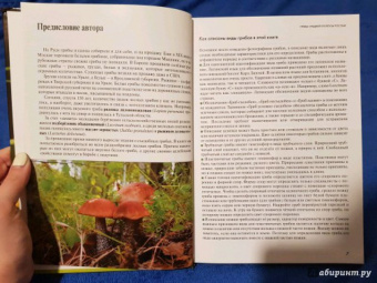 Федор Карпов: Грибы средней полосы России. Атлас-определитель