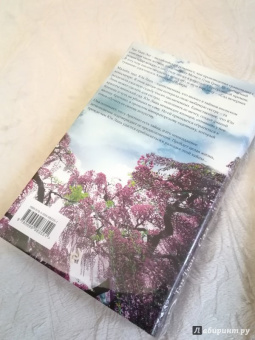 Тван Тан: Сад вечерних туманов