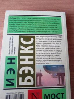 Иэн Бэнкс: Мост