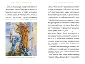 Марина Голубева: Славянская магия. От волхвов и колдунов до берегинь