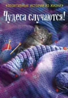 Шумак, Чернецкая: Чудеса случаются!
