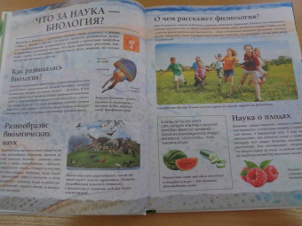 Анна Спектор: Живой мир