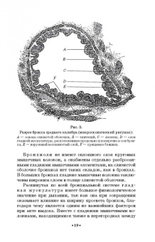 Леонид Работнов: Основы физиологии и патологии голоса певцов. Учебное пособие для СПО