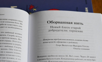 Леон Виндшайд: Что делает нас людьми. Как понимать свои эмоции и принимать их