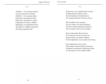 Лариса Чеснова: Полёт Чайки