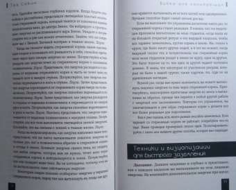 Тея Сабин: Викка для начинающих. Основы философии и практики