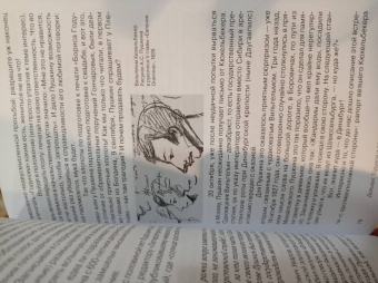 Михаил Визель: Пушкин. Болдино. Карантин. Хроника самоизоляции 1830 года