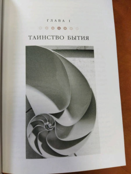 Хокинг, Млодинов: Высший замысел. Новый перевод