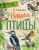 Виталий Бианки: Наши птицы