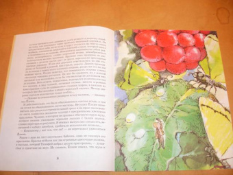 Вениамин Бук: Железная Пуговица