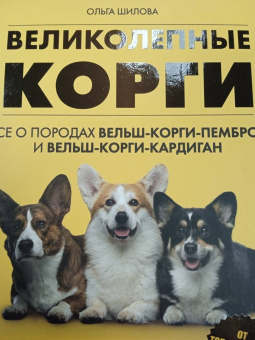 Ольга Шилова: Великолепные корги. Все о породах вельш-корги-пемброк и вельш-корги-кардиган