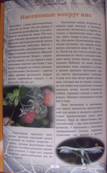 Владимир Горбатовский: Насекомые России. Жуки, бабочки и другие