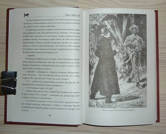 Рид Майн: Пиратский остров. Молодые невольники