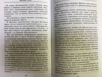 Эвелин Уэллс: Нефертити. Повелительница Двух Земель