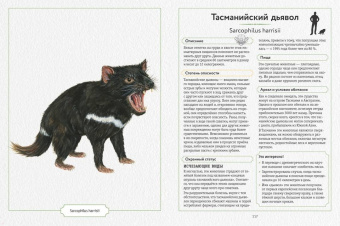 Сэми Бэйли: Энциклопедия опасных животных