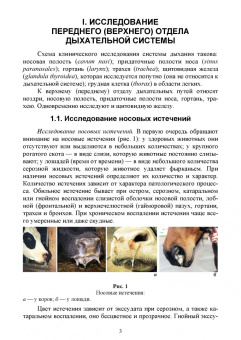 Людмила Анникова: Исследование дыхательной системы животных. Практическое руководство. Учебно-методическое пособие