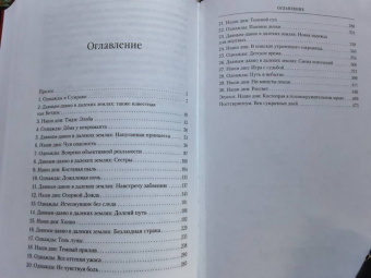 Глен Кук: Хроники Черного Отряда. Портал Теней