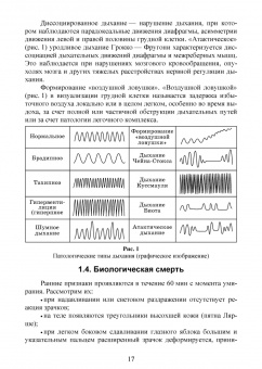 Оксана Бурмистрова: Основы реаниматологии. Учебник для СПО