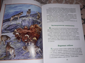Татьяна Жданова: О том, как животные умеют дружить