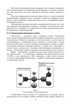 Татьяна Хромова: Ботаника с основами физиологии растений. Учебник для вузов