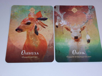 Колетт Барон-Рид: The Spirit Animal Oracle. Духи животных. Оракул, 68 карт и руководство в подарочном оформлении