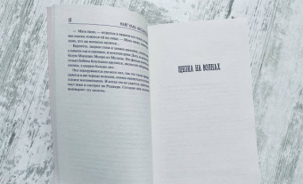 Майгулль Аксельссон: Апрельская ведьма
