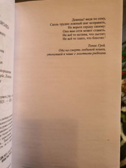 Эрин Боумен: Путь отмщения
