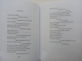Николай Рубцов: Избранное. Звезда полей