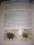 Людмила Соколова: Хочу знать. Пауки