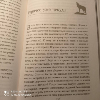 Петер Воллебен: Тайные связи в природе