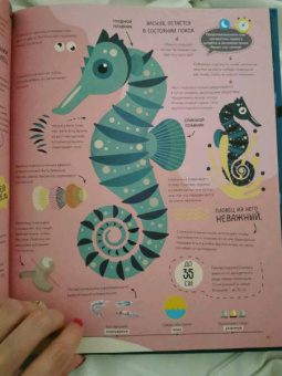 Пинтос, Ианнуззи: Как спит пчела? Удивительные факты о животных и их суперспособностях