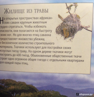 Тина Канделаки: Гигантская энциклопедия живого мира