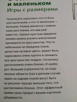 Феликс Шайнбергер: Живопись vs графика. Взгляд крота, лягушачья перспектива и рыба из пятна