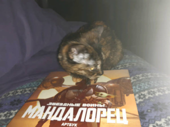 Фил Шостак: Звёздные Войны. Мандалорец. Артбук