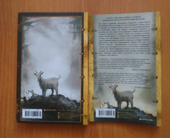 Питер Ньюман: Странник