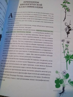 Баюк, Виноградова, Кноп: Алиса в Стране наук