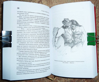 Рид Майн: Желтый вождь