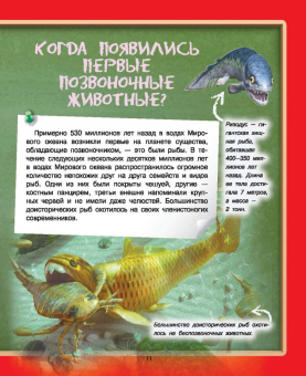 Дмитрий Туровец: Где? Когда? Как?