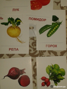 Раздаточные карточки "Овощи" (63х87 мм)