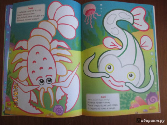 Подводный мир