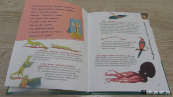 Альтер, Кан: Удивительная генетика