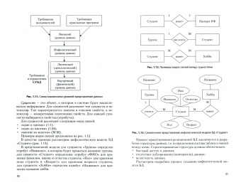 Полищук, Боровский: Базы данных и их безопасность