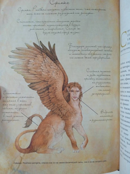 Вероника Вигберт-Блэкуотер: Энциклопедия магических чудищ. Анатомическое исследование наиболее неуловимых существ криптозоологии