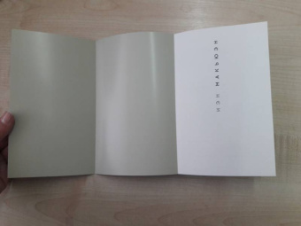 Иэн Макьюэн: Невыносимая любовь