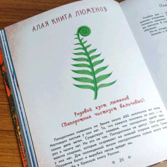 Наталия Немцова: Стражи леса. Сказки для почемучки