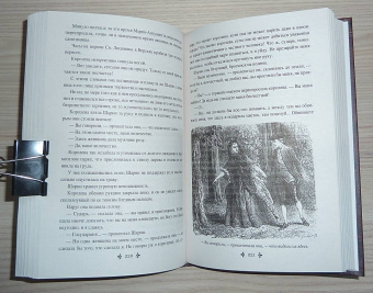 Александр Дюма: Ожерелье королевы. Том 2