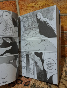 Ёситоки Оима: To Your Eternity. Том 6