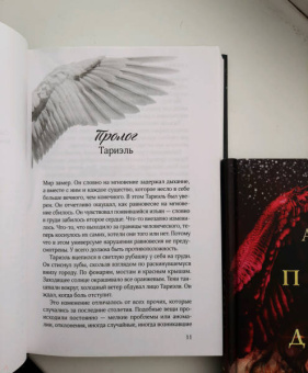 Ава Рид: Крылья из огня и тени
