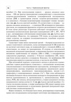 Муйжнек, Рожкова, Киселев: Между мастопатией и раком молочной железы. Факторы риска и патогенетическое лечение